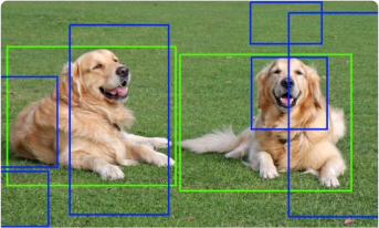 Object Detection