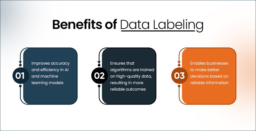 Benefits of Data Labeling